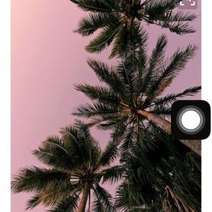 Meet your Posher, Elle